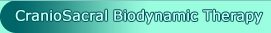 CranioSacral Biodynamic Therapy